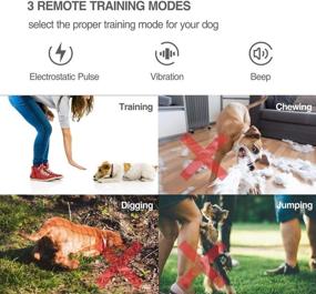 img 1 attached to 🐶 2-in-1 Anti Bark Collar with Remote - Rechargeable Dog Training Collar featuring 3 Modes: Beep, Vibration, Shock | 100% Waterproof | Up to 1900Ft Range | Suitable for Small, Medium, Large Dog Breeds