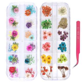 img 4 attached to 🌸 24 Colors Nail Art Dry Flowers Set - UNIME 2 Boxes Mini Real Natural Flowers Nail Art Supplies for 3D Applique, Manicure Decor Accessories - Gypsophila Flowers Leaves