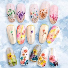 img 3 attached to 🌸 24 Colors Nail Art Dry Flowers Set - UNIME 2 Boxes Mini Real Natural Flowers Nail Art Supplies for 3D Applique, Manicure Decor Accessories - Gypsophila Flowers Leaves