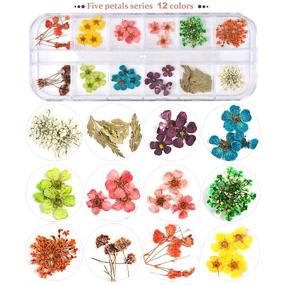 img 1 attached to 🌸 24 Colors Nail Art Dry Flowers Set - UNIME 2 Boxes Mini Real Natural Flowers Nail Art Supplies for 3D Applique, Manicure Decor Accessories - Gypsophila Flowers Leaves