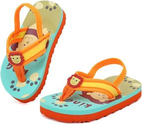 img 4 attached to Toddler Flops Girls Sandals PoolU421SBDRZT Lion 26 Boys' Shoes ~ Sandals