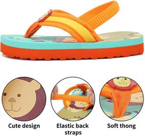 img 2 attached to Toddler Flops Girls Sandals PoolU421SBDRZT Lion 26 Boys' Shoes ~ Sandals