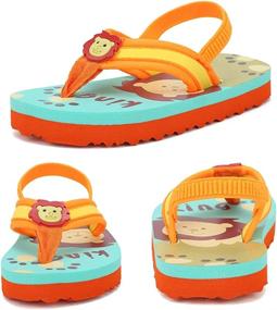 img 1 attached to Toddler Flops Girls Sandals PoolU421SBDRZT Lion 26 Boys' Shoes ~ Sandals