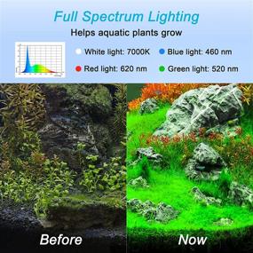 img 3 attached to 🐠 Enhanced LVYTECH Full Spectrum LED Aquarium Light with Timer, Adjustable Brightness and Extendable Brackets – Perfect Fish Tank Light with 3 Lighting Modes for Vibrant Fresh Water Aquariums