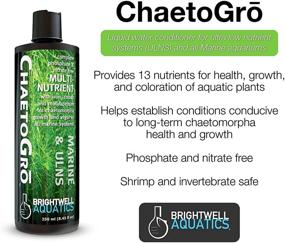 img 2 attached to 🌿 Brightwell Aquatics Chaeto GRO: Boost Chaetomorpha Growth & Vigor in Marine Aquariums