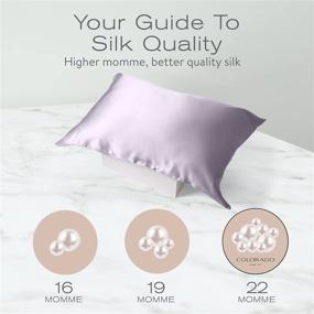 img 1 attached to Colorado Home Co Mulberry Silk Pillowcase for Hair and Skin - 22 Momme, 100% Natural Silk Pillowcase - Anti Aging, Anti Acne Dual Sided King Size Silk Pillowcase - Silver - 1 Pack