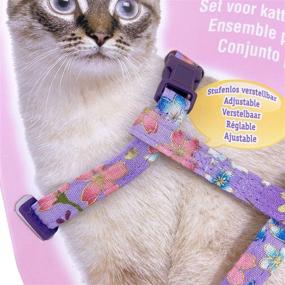 img 3 attached to 🐾 TEEMERRYCA Adjustable Cat Harness and Leash Set - Escape Proof Kit for Optimal Outdoor Walking, Training, and Safe Freedom