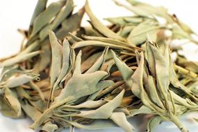 img 1 attached to 🌿 EarthWise Aromatics White Sage Leaves - 4oz: Embrace the Soothing Power of Pure, Natural Sage