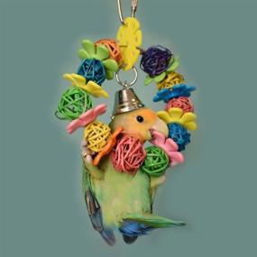 img 3 attached to Mrli Pet Parrot Toys: Colorful Rings Balls 🦜 Chew Toys for Budgies, Parakeets, Cockatiels, Cockatoos, Conures, and Lovebirds