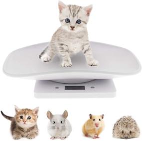 img 2 attached to 🐾 Petyoung Multi-Function Digital Pet Scale: Accurate Weight Measurement, LCD Display, Up to 10KG - Perfect for Dogs and Cats!