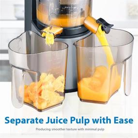 img 1 attached to Flexzion Cold Press Juicer Machine: Efficient Masticating 🥤 Extractor for Maximum Juice Yield and Healthier Fresh Results