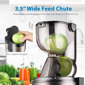 img 3 attached to Flexzion Cold Press Juicer Machine: Efficient Masticating 🥤 Extractor for Maximum Juice Yield and Healthier Fresh Results