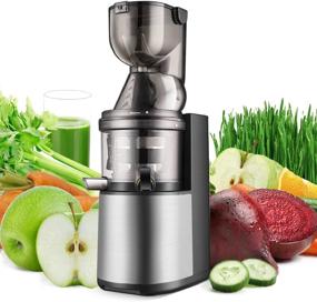 img 4 attached to Flexzion Cold Press Juicer Machine: Efficient Masticating 🥤 Extractor for Maximum Juice Yield and Healthier Fresh Results