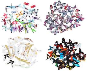 img 3 attached to Molshine PET Transparent Butterfly Dragonfly Stickers - Personalize & Decorate DIY Projects, Journals, Laptops, Scrapbooks, and More! (160pcs, 4 Packs - ST-431)
