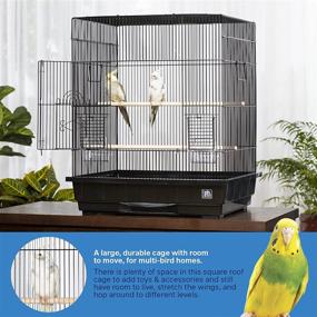 img 2 attached to 🦜 Optimize Your Parakeet's Habitat with the Square Top Parakeet Cage