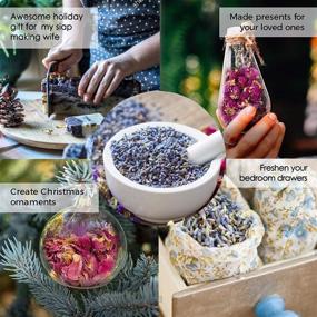 img 1 attached to 🌸 Dried Flower and Herb Accessories Decorations - Set of 4 Bags - Dry Flowers Essential Supplies - Rose Buds, Lavender, Jasmine & Mint Scents for Flower Arrangements, Crafts, Bath Soap, Lip Gloss Making