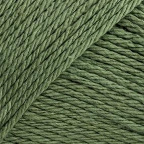 img 1 attached to 🧶 Spinrite Sugar'N Cream Solid Sage Green Yarn - 2.5 oz / 70.9 g