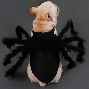 img 1 attached to 🕷️ Halloween Spider Pet Costume: Plush Black Spider Clothes for Small Dogs and Cats - Perfect Pet Halloween Costume for a Spooky, Scary Look