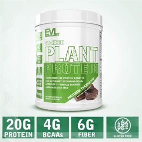 img 1 attached to 🌱 Белковый порошок из растительных источников "Stacked Plant Protein" - Натуральный шоколад, веганский, без ГМО, без глютена, с пробиотиками, ВСАА, клетчатка, комплексный растительный белок (1,5 фунта)