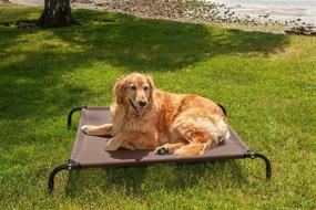 img 1 attached to 🐾 Furhaven Pet Reimagined: Reinforced Cot Bed with Detachable Plush Dog Blanket, ThermaPUP Self-Warming Reflective Thermal Insert Mat - Ideal for Dogs & Cats of All Sizes & Colors