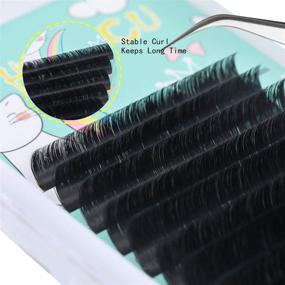 img 2 attached to Premade Volume Eyelash Extensions 0.05/0.07 Thickness, D/D+ Curl, 8-15mm Length, 2D-20D Fans - Easy Self Fanning Lashes (DDMIX)