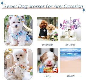 img 3 attached to 🐶 Cute Floral Lace Dog Dresses – 2 Pack ABRRLO Pet Clothes for Small Dogs, Puppy, and Cats, Perfect for Summer, Ideal Princess Dress for your Beloved Pet