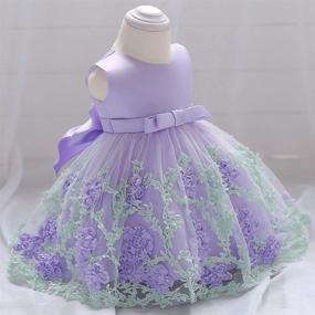 img 2 attached to 👗 Dressy Daisy Baby Girls Wedding Flower Girl Pageant Dress: Vibrant Tulle Skirt for Special Occasions in Blue, Pink, Purple, and Yellow