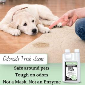 img 1 attached to 32 oz Odorcide 210S-FS 🐾 Pet Odor Spray - Fresh Scent, Ready-to-Use