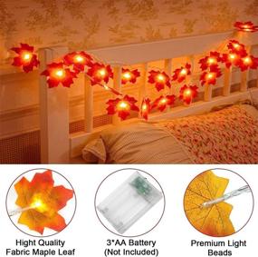 img 4 attached to 🍁 Waterproof Koishu Fall Maple Leaves String Lights - 10 Ft, 20 LED Maple Leaves Lights Battery Operated for Holiday Halloween Thanksgiving Christmas Party Indoor Outdoor Garden Decor