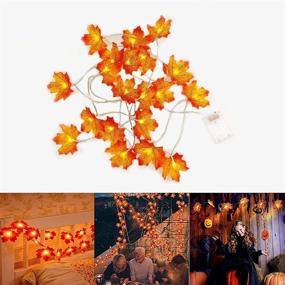 img 3 attached to 🍁 Waterproof Koishu Fall Maple Leaves String Lights - 10 Ft, 20 LED Maple Leaves Lights Battery Operated for Holiday Halloween Thanksgiving Christmas Party Indoor Outdoor Garden Decor