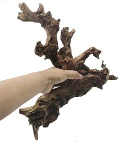 img 2 attached to 🐠 Enhance your Fish Tank Decor with Hamiledyi Driftwood Log - Natural Wood Branch Trunk Stump for Aquarium Decoration and Reptile Habitat (L: 7" to 11")