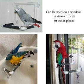 img 2 attached to 🦜 Bird Portable Suction Cup Shower Perch: Ideal Platform for Macaws, Cockatoos, Parakeets, and More!