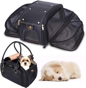 img 4 attached to 🐾 PetsHome Expandable Foldable Airline Approved Leather Pet Carrier Bag - Ideal for Cats and Small Dogs: Home & Outdoor Travel Convenience