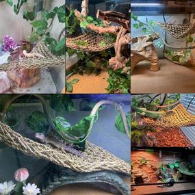 img 2 attached to 🦎 Seagrass Lizard Lounger Hammock Set | Flexible Climbing Jungle Vines, Reptile Leaves Tank Accessories Kit for Bearded Dragon, Anole, Gecko, Chameleon, Iguana, Frog, Snake - Terrarium Habitat Decor