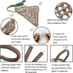 img 1 attached to 🦎 Seagrass Lizard Lounger Hammock Set | Flexible Climbing Jungle Vines, Reptile Leaves Tank Accessories Kit for Bearded Dragon, Anole, Gecko, Chameleon, Iguana, Frog, Snake - Terrarium Habitat Decor