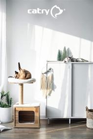 img 1 attached to Catry Scratching Post Cat Tree - Cat Play House Combo with Hammock, Scratching Post, Comfort Home | Traps Kittens, Easy Assembled Sturdy Cat Furniture, Beige