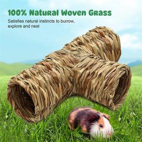 img 1 attached to 🐹 BWOGUE Hamster Grass Tunnel Toy - Fun Hideaway for Guinea Pigs, Rats, Ferrets, Chinchillas & More!