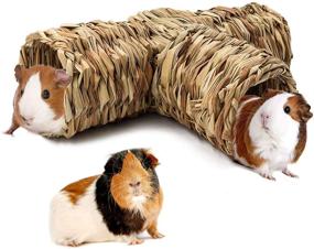 img 4 attached to 🐹 BWOGUE Hamster Grass Tunnel Toy - Fun Hideaway for Guinea Pigs, Rats, Ferrets, Chinchillas & More!