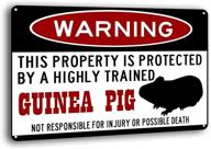 bayabu guinea funny guineapig inches logo