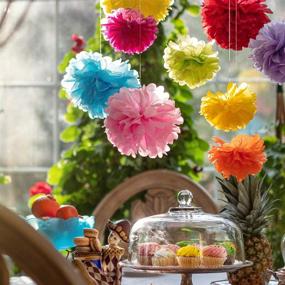 img 2 attached to 🎉 20 Assorted Sizes of Colorful Pom Poms - Tissue Paper Flowers for Birthdays, Parties, and Event Decorations - by Avoseta