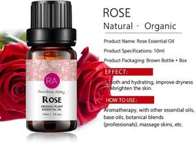 img 3 attached to Rose Essential Oil Therapeutic Diffuser Wellness & Relaxation