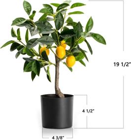 img 2 attached to 🍋 Velener 19" Mini Artificial Lemon Tree: Vibrant Bonsai Plant for Chic Home Décor