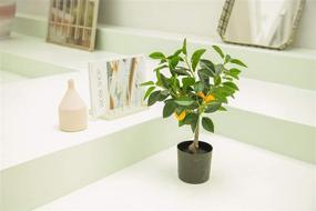 img 1 attached to 🍋 Velener 19" Mini Artificial Lemon Tree: Vibrant Bonsai Plant for Chic Home Décor