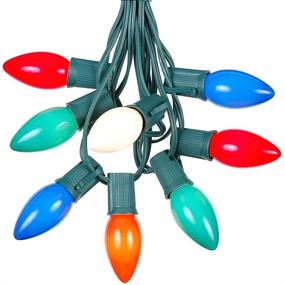 img 4 attached to 🎄 25-Foot C9 Multi Ceramic Christmas String Light Set - Outdoor Christmas Light String - Opaque Christmas Bulbs - Roofline Light String - Outdoor String Lights - Green Wire