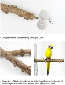 img 3 attached to Kathson Parrot Perches Set of 6 Natural Wood Perch Bird Cage Accessories for Parakeet, Budgies, Lovebirds – Ideal Toy and Stand Pole