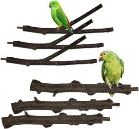 img 4 attached to Kathson Parrot Perches Set of 6 Natural Wood Perch Bird Cage Accessories for Parakeet, Budgies, Lovebirds – Ideal Toy and Stand Pole
