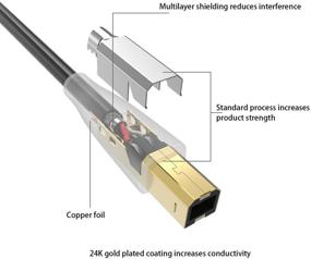 img 2 attached to Кабель для принтера Syncwire 9.8 фута - USB 2.0 быстрая скорость Тип А к 🖨️ B сканерный шнур для HP, Canon, Dell, Lexmark, Xerox, Samsung и других - черный