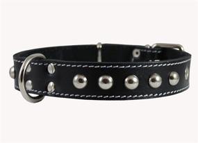 img 4 attached to Genuine Leather Studded Collar Breeds