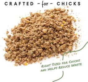 img 1 attached to 🐥 Manna Pro Chick Starter: Medicated Amprolium Formula Preventing Coccidiosis with 5 Pounds of Feed Crumbles