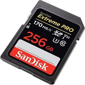 img 1 attached to Карта памяти SanDisk (пять штук) объемом 256 ГБ Extreme Pro работает с цифровой зеркальной камерой DSLR 4K V30 UHS-I (SDSDXXY-256G-GN4IN) в комплекте с (1) комбинированным считывателем Everything But Stromboli (TM)